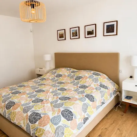 Villa Tolosane - Pisicne & Jardin - 10 Pers *
